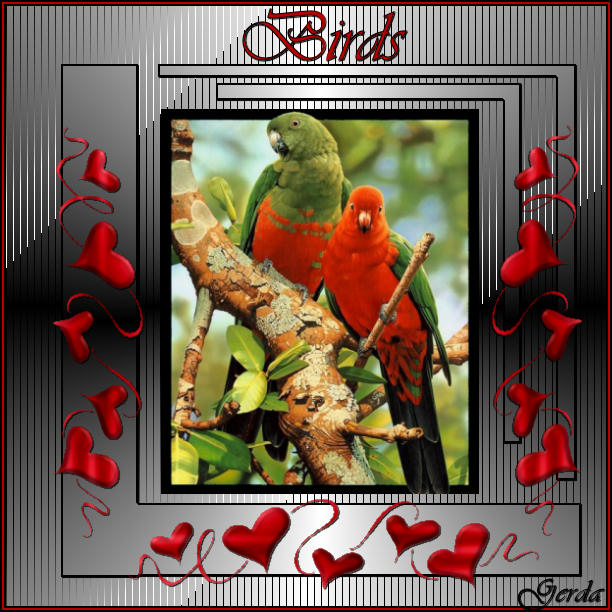 birds1