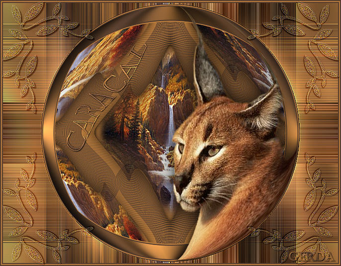 Caracal