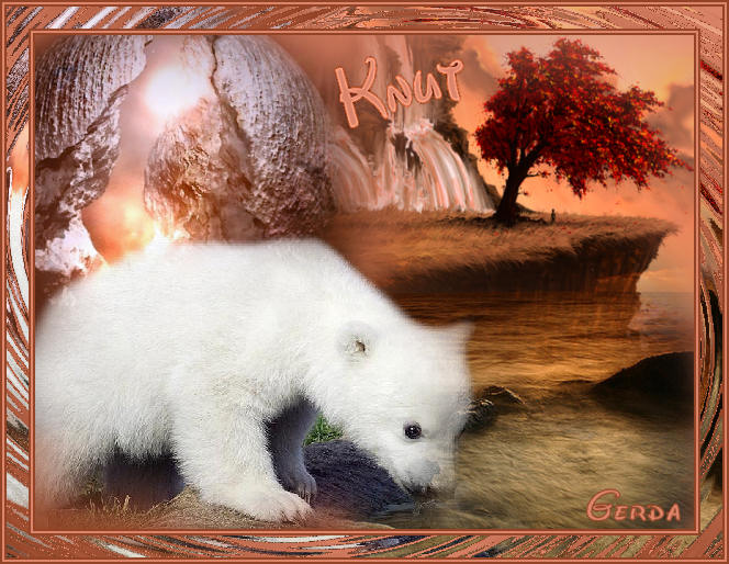 knut